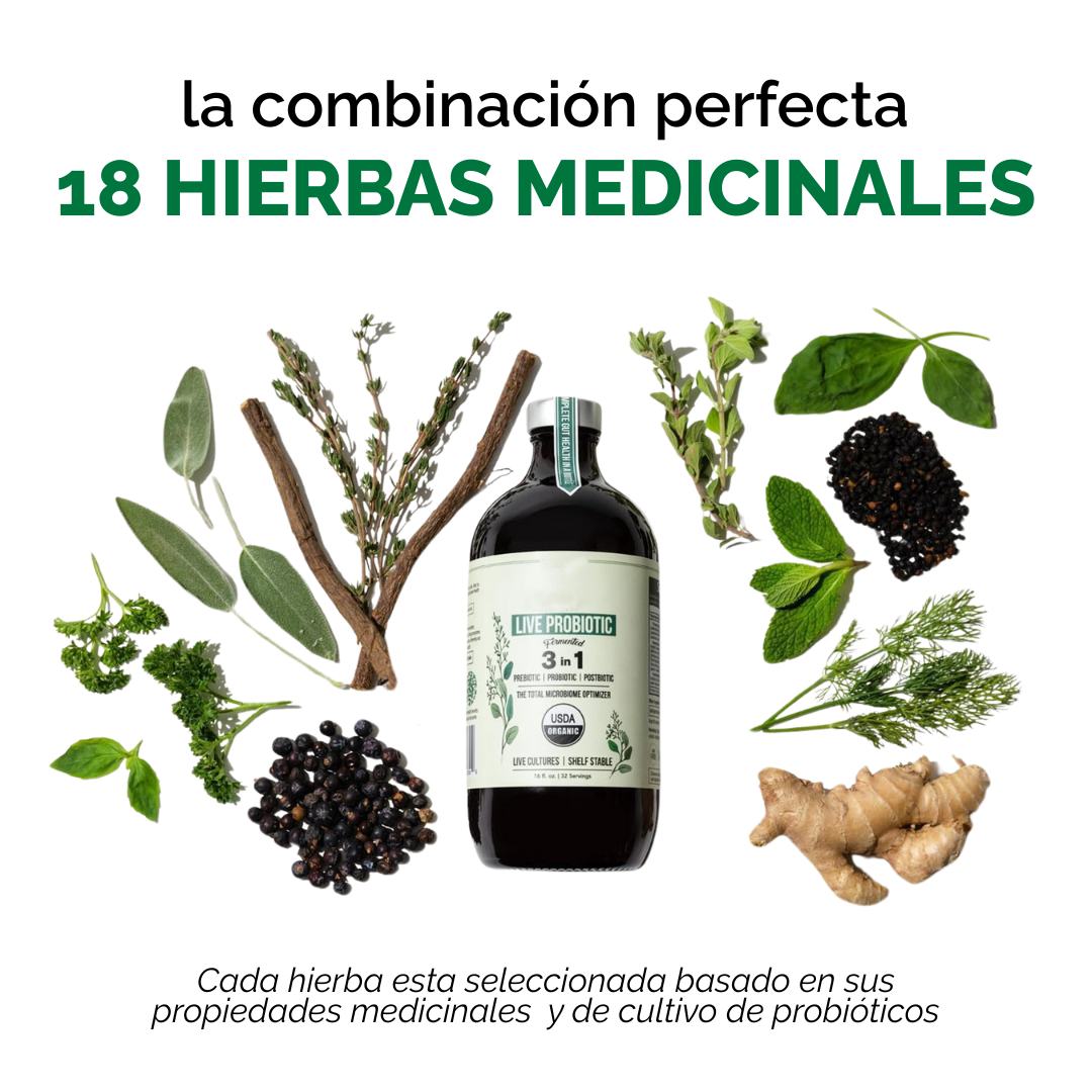 LIVE PROBIOTIC - SALUD DIGESTIVA